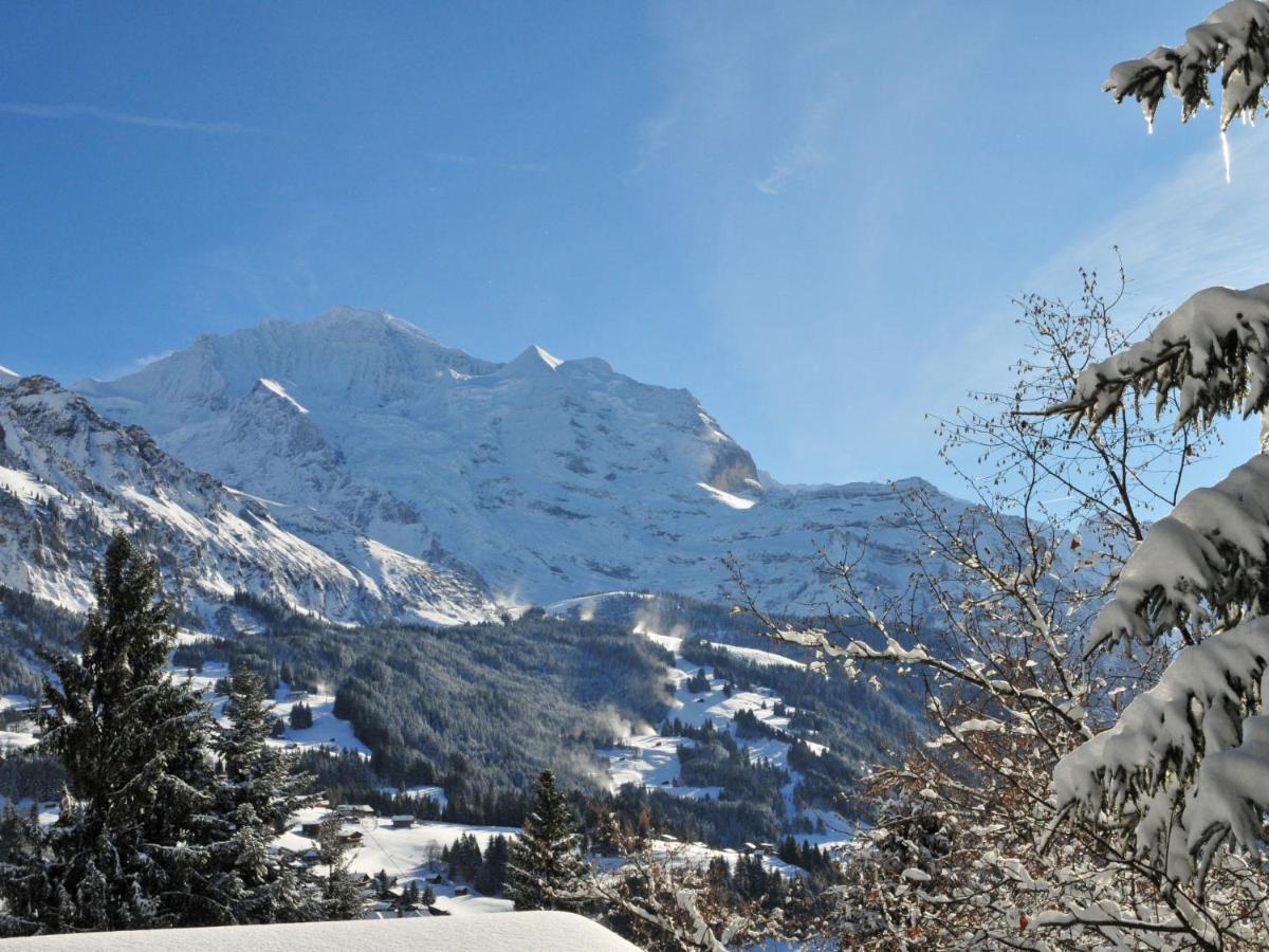 Apartment Im Gruebi-1 By Interhome Wengen Exterior photo